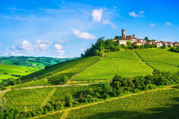 Vinhas Langhe Panorama Por Sol Castiglione Falletto Unesco Site Piemonte — Fotografia de Stock