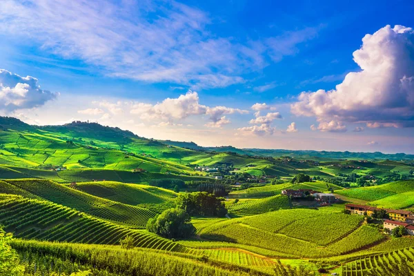 Vinhas Langhe Panorama Por Sol Perto Barolo Unesco Site Piemonte — Fotografia de Stock