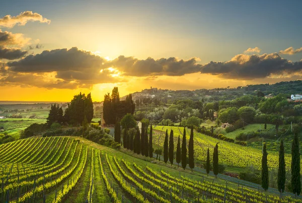 Casale Marittimo Paese Vigneti Paesaggio Campagna Maremma Pisa Toscana Italia — Foto Stock