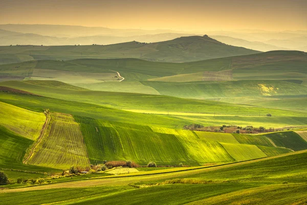Apulia Landschaft Blick Sanfte Hügel Und Grüne Felder Landschaft Poggiorsini — Stockfoto