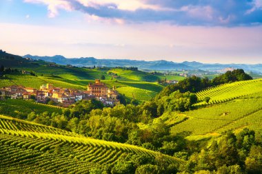 Langhe üzüm bağları panorama, Barolo köyü, Unesco Sitesi, Piedmont, Kuzey İtalya Avrupa.