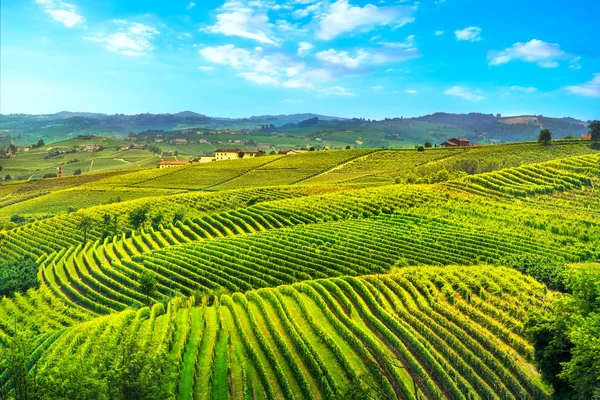 Langhe Vineyards Sunset Panorama Unesco Site Piamonte Norte Italia Europa —  Fotos de Stock