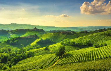 Langhe üzüm bağları günbatımı manzarası, Castiglione Falletto ve La Morra, Unesco Sitesi, Piedmont, Kuzey İtalya Avrupa.