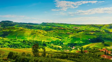 Langhe üzüm bağları panorama görünümünden Diano d Alba, UNESCO tarafından Piedmont, Kuzey İtalya Avrupa.