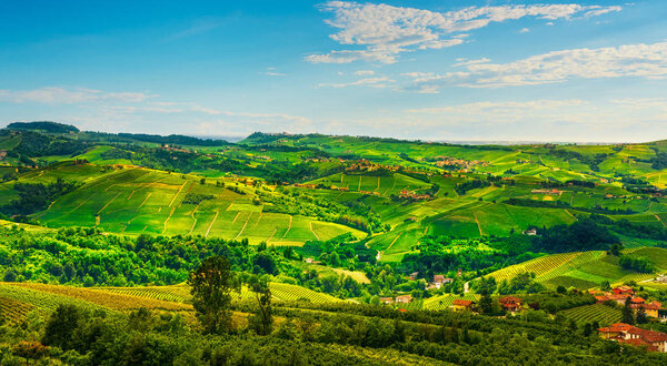 Langhe vineyards panorama view from Diano d Alba, Unesco Site, Piedmont, Northern Italy Europe.