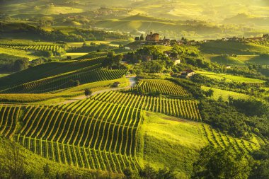 Langhe üzüm bağları günbatımı manzarası, Grinzane Cavour, Unesco Sitesi, Piedmont, Kuzey İtalya Avrupa.