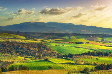 Maremma kırsal, günbatımında inişli çıkışlı tepeler, ağaçlar ve Magona orman. Bibbona, Toskana, İtalya. Europe.