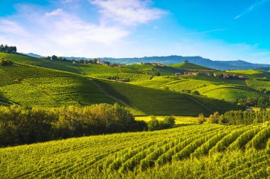 Langhe üzüm bağları günbatımı panorama, UNESCO tarafından Alba Piedmont, Kuzey İtalya Avrupa.