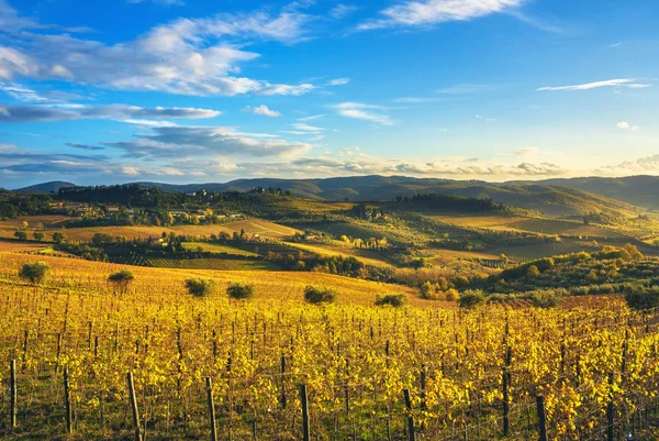 Panzano Winnic Chianti Panorama Zachodzie Słońca Jesieni Toskania Włochy Europy — Zdjęcie stockowe