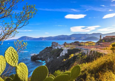 Elba Adası, Portoferraio fort havadan görünümden. Deniz feneri, Kalesi ve kaktüs Hint incir opuntia. Toskana, İtalya, Europe.
