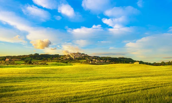 Casale Marittimo Old Stone Village Maremma Wheat Fields Countryside Italian — Stock Photo, Image