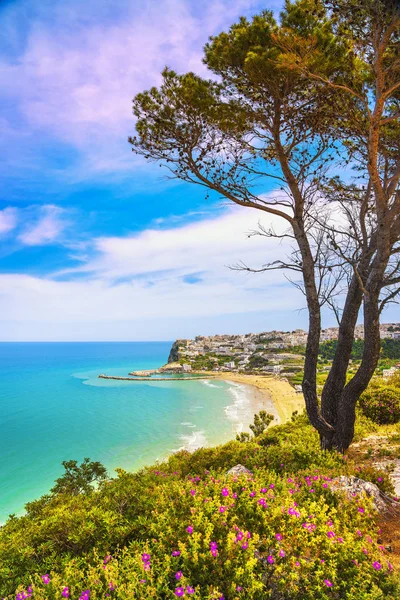 Peschici Village Blanc Plage Péninsule Gargano Pouilles Italie Sud Europe — Photo