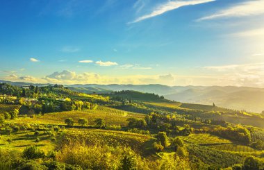 Panzano Chianti bağ ve panorama adlı'nde sonbahar günbatımı. Toskana, İtalya Europe.