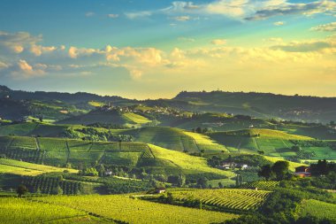 Langhe üzüm bağları günbatımı manzarası, Castiglione Falletto ve La Morra, Unesco Sitesi, Piedmont, Kuzey İtalya Avrupa.