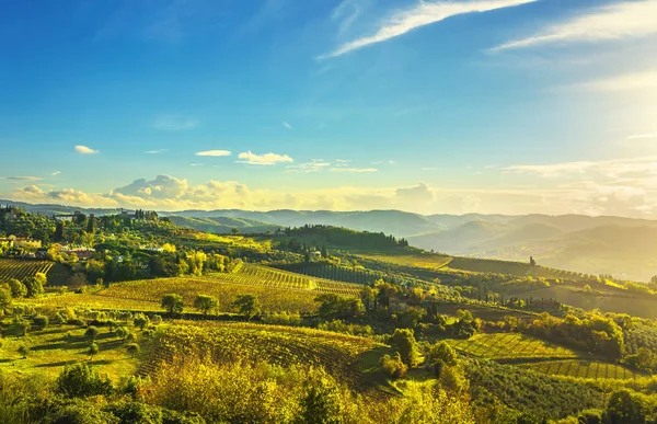 Panzano Chianti Wijngaarden Panorama Bij Zonsondergang Herfst Toscane Italië Europa — Stockfoto