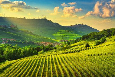 Langhe üzüm bağları günbatımı manzarası, Barolo ve La Morra, Unesco Sitesi, Piedmont, Kuzey İtalya Avrupa.