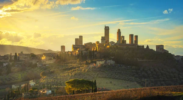 San Gimignano Stadssiluett Och Medeltida Torn Solnedgång Italienska Olivträd Förgrunden — Stockfoto