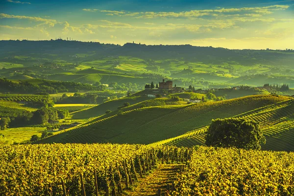 Langhe Wijngaarden Zonsondergang Panorama Grinzane Cavour Marra Unesco Site Piemonte — Stockfoto