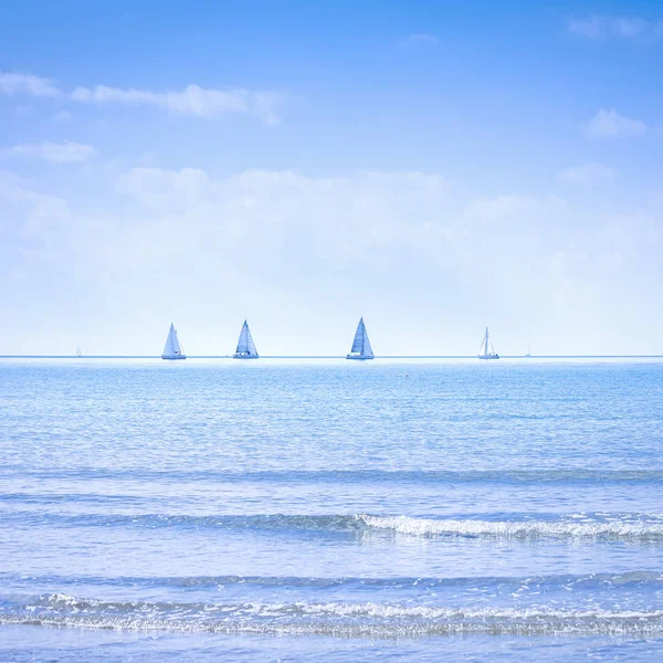Zeilboot Jacht Zeilboot Groep Regatta Race Zee Oceaan Water Panoramisch — Stockfoto