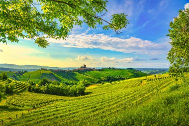 Langhe üzüm bağları günbatımı manzarası, Serralunga d Alba, Unesco Sitesi, Piedmont, Kuzey İtalya Avrupa.