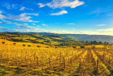Panzano Chianti bağ ve panorama adlı'nde sonbahar günbatımı. Toskana, İtalya Europe.