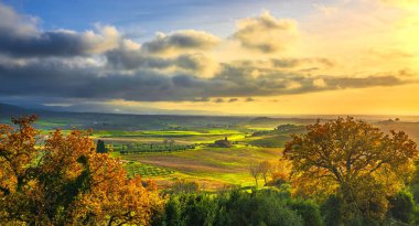 Maremma kırsal, günbatımı manzara. Bibbona ve Casale Marittimo yeşil alanlara. Toskana, İtalya, Europe.