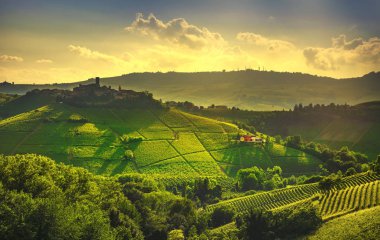 Langhe üzüm bağları günbatımı manzarası, Castiglione Falletto ve La Morra, Unesco Sitesi, Piedmont, Kuzey İtalya Avrupa.