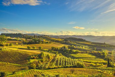 Panzano Chianti bağ ve panorama adlı'nde sonbahar günbatımı. Toskana, İtalya Europe.