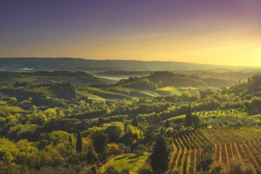 Panoramik kırsal ve chianti vernaccia üzüm bağları San Gimignano dan gündoğumu üzerinde. Toskana, İtalya, Europe.