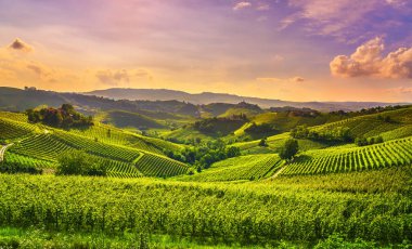 Langhe üzüm bağları günbatımı manzarası, Castiglione Falletto ve La Morra, Unesco Sitesi, Piedmont, Kuzey İtalya Avrupa.