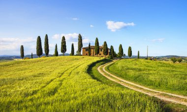 Pienza, Toskana / İtalya - 29 Mayıs 2015: ikonik tarım arazileri ben Cipressini, İtalyan selvi ağaçları ve bahar kırsal beyaz yolda. Siena kırsal kesimde yer alan.