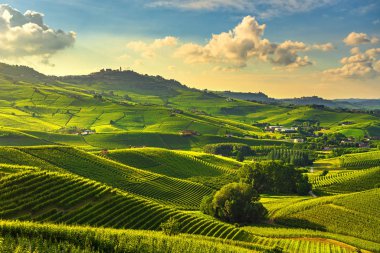 Langhe üzüm bağları günbatımı manzarası, Barolo ve La Morra, Unesco Sitesi, Piedmont, Kuzey İtalya Avrupa.