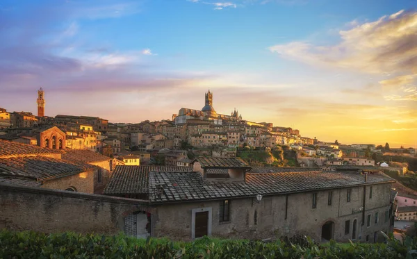 Siena Günbatımı Panoramik Manzarası Mangia Kulesi Katedral Duomo Dönüm Noktası — Stok fotoğraf