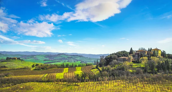 トスカーナのパノラマ なだらかな丘陵 木と緑のフィールド イタリア ヨーロッパ — ストック写真