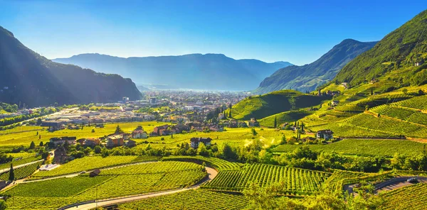 Widok na winnice w Santa Maddalena Bolzano. Trentino Alto Adige S — Zdjęcie stockowe