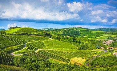 Langhe üzüm bağları görünümü, yol ve Sinio küçük köy, Piedmont, ben