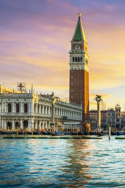 Venetië landmark bij dageraad, Piazza San Marco met Campanile en hond — Stockfoto