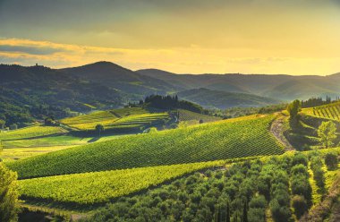 Bir Radda in Chianti bağ ve panorama adlı günbatımı. Toskana, İtalya