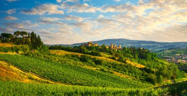 Certaldo Alto medieval town skyline and vineyards view. Florence, Tuscany, Italy. Birthplace of Boccaccio, Decameron author. clipart