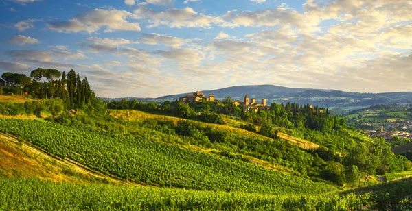 Certaldo Alto Średniowieczne Miasto Panorama Winnice Widok Florencja Toskania Włochy — Zdjęcie stockowe