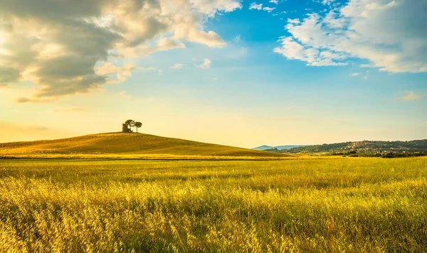 Zonsondergang Landschap Maremma Platteland Rolling Hills Landelijke Toren Bomen Bibbona — Stockfoto