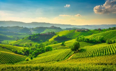 Langhe üzüm bağları günbatımı manzarası, Castiglione Falletto ve La Morra, Unesco Sitesi, Piedmont, Kuzey İtalya Avrupa.