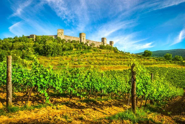 Monteriggioni Village Médiéval Fortifié Vignobles Route Francigena Sienne Toscane Italie — Photo