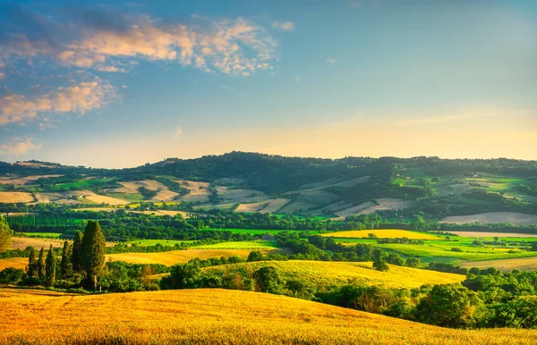 Pole Pszenicy Kwitnące Słoneczniki Zachodzie Słońca Letni Krajobraz Toskanii Włochy — Zdjęcie stockowe