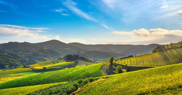 Radda Chianti Vingård Och Panorama Vid Solnedgången Hösten Toscana Italien — Stockfoto