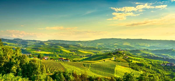 Langhe üzüm bağları günbatımı manzarası, Grinzane Cavour, Unesco Sitesi, Piedmont, Kuzey İtalya Avrupa.