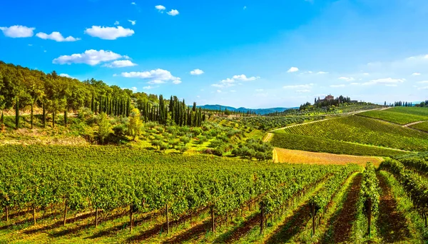 Radda Chianti Vineyard Panorama Sunset Autumn Tuscany Italy Europe — Stock Photo, Image