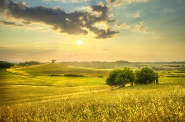 Maremma kırsalında gün batımı manzarası. Yuvarlanan tepeler ve ağaçlar. Bibbona. Toskana, İtalya, Avrupa