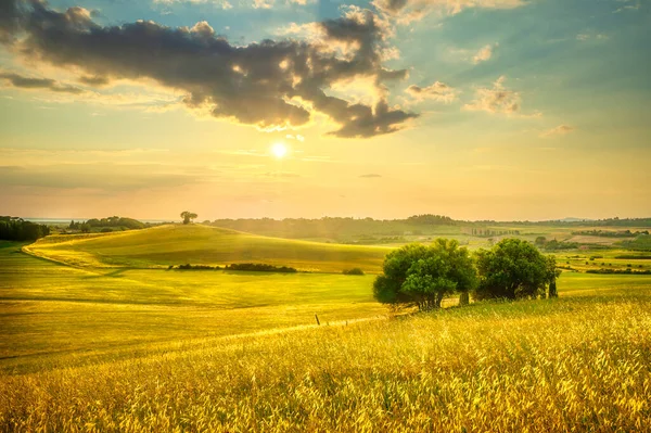 Maremma Kırsalında Gün Batımı Manzarası Yuvarlanan Tepeler Ağaçlar Bibbona Toskana — Stok fotoğraf