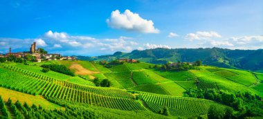 Langhe üzüm bağları panorama, Serralunga d Alba, Unesco Sitesi, Piedmont, Kuzey İtalya Avrupa.